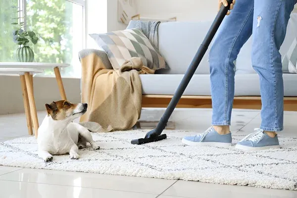 Cleaning